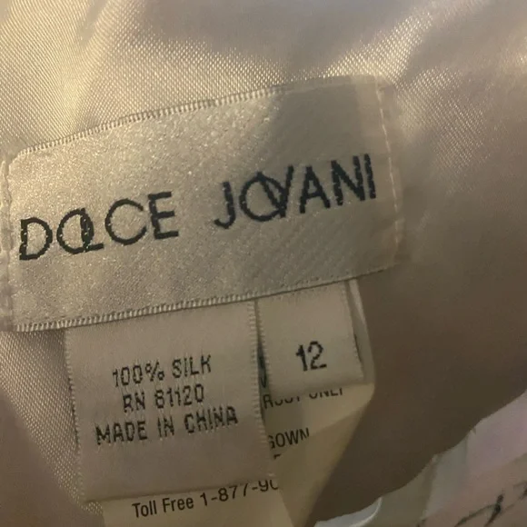 Dolce Jovani Silk dress size 12 Formal Elegant Gown - Picture 8 of 8